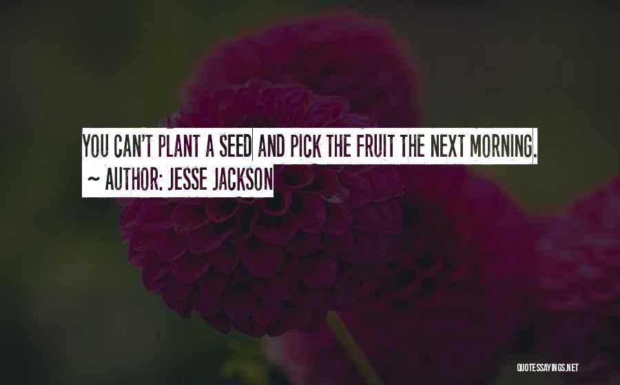 Jesse Jackson Quotes: You Can't Plant A Seed And Pick The Fruit The Next Morning.
