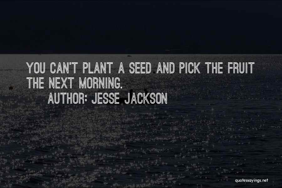 Jesse Jackson Quotes: You Can't Plant A Seed And Pick The Fruit The Next Morning.