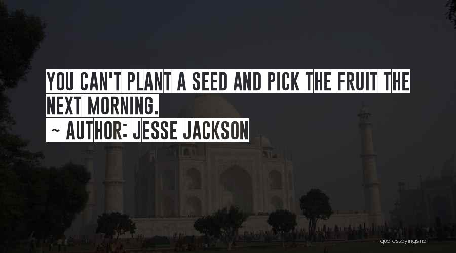 Jesse Jackson Quotes: You Can't Plant A Seed And Pick The Fruit The Next Morning.