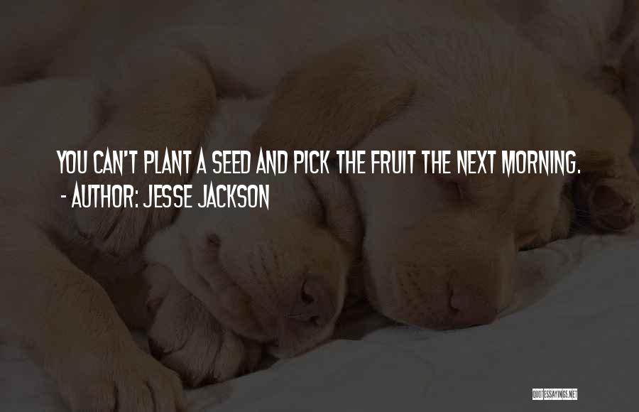 Jesse Jackson Quotes: You Can't Plant A Seed And Pick The Fruit The Next Morning.