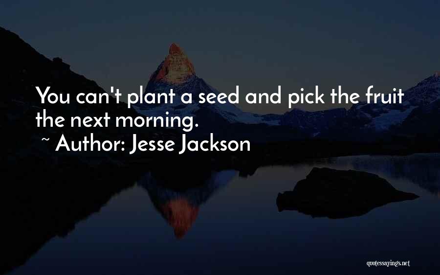 Jesse Jackson Quotes: You Can't Plant A Seed And Pick The Fruit The Next Morning.