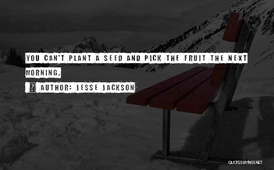 Jesse Jackson Quotes: You Can't Plant A Seed And Pick The Fruit The Next Morning.