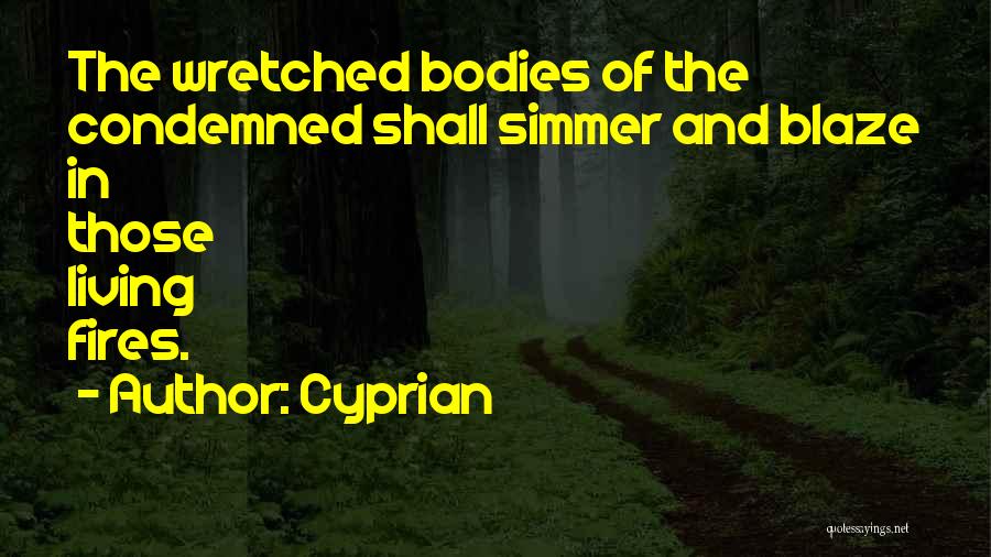 Cyprian Quotes: The Wretched Bodies Of The Condemned Shall Simmer And Blaze In Those Living Fires.