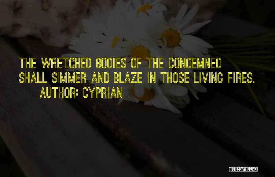 Cyprian Quotes: The Wretched Bodies Of The Condemned Shall Simmer And Blaze In Those Living Fires.