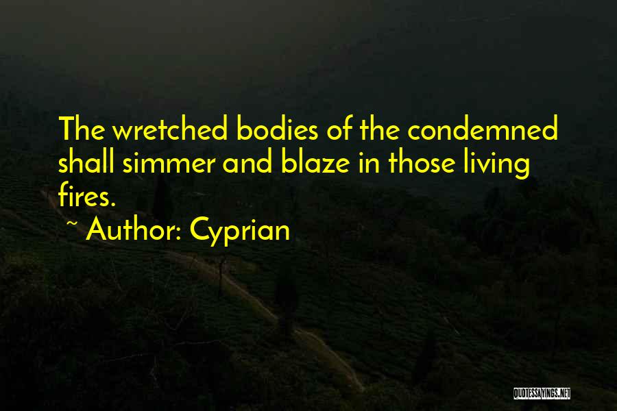 Cyprian Quotes: The Wretched Bodies Of The Condemned Shall Simmer And Blaze In Those Living Fires.