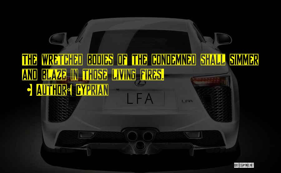 Cyprian Quotes: The Wretched Bodies Of The Condemned Shall Simmer And Blaze In Those Living Fires.