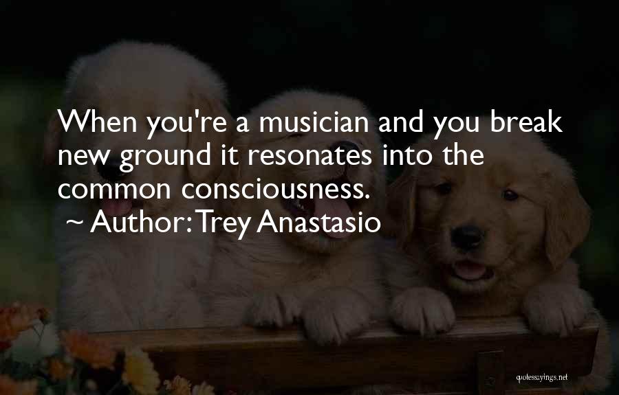 Trey Anastasio Quotes: When You're A Musician And You Break New Ground It Resonates Into The Common Consciousness.