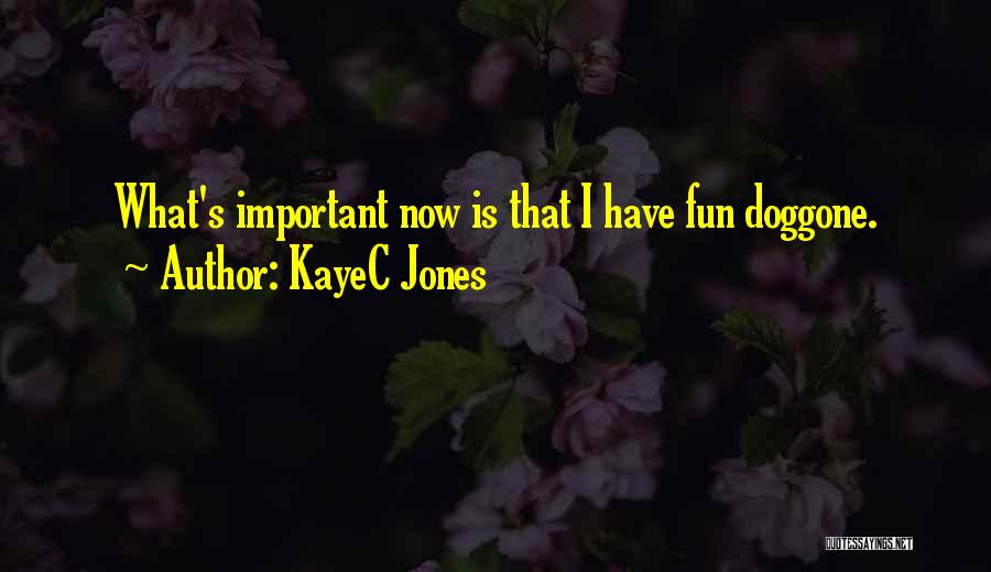 KayeC Jones Quotes: What's Important Now Is That I Have Fun Doggone.