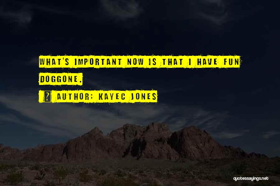 KayeC Jones Quotes: What's Important Now Is That I Have Fun Doggone.
