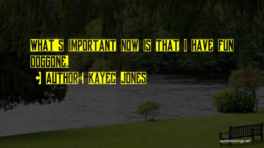 KayeC Jones Quotes: What's Important Now Is That I Have Fun Doggone.