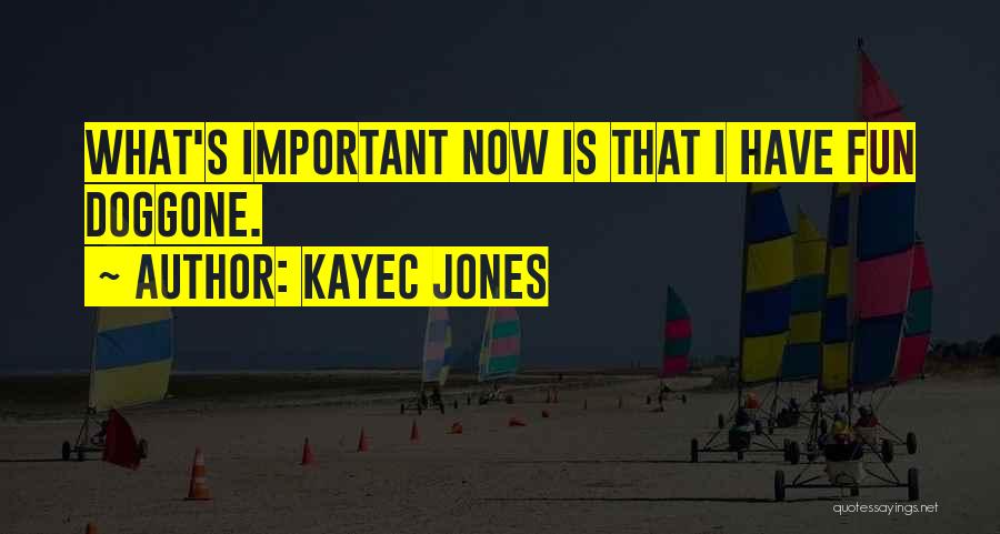 KayeC Jones Quotes: What's Important Now Is That I Have Fun Doggone.