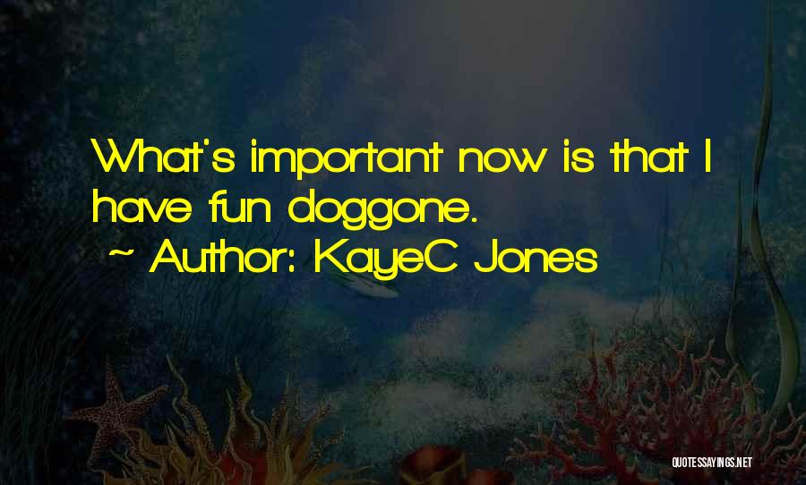 KayeC Jones Quotes: What's Important Now Is That I Have Fun Doggone.