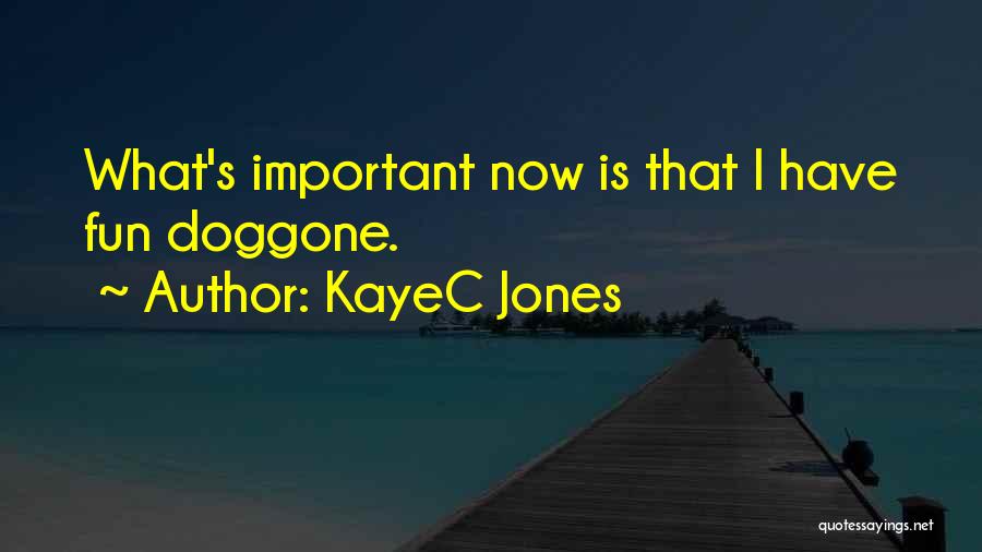 KayeC Jones Quotes: What's Important Now Is That I Have Fun Doggone.