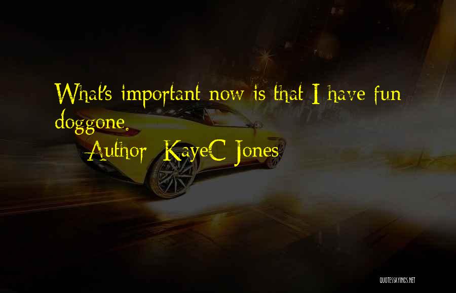 KayeC Jones Quotes: What's Important Now Is That I Have Fun Doggone.