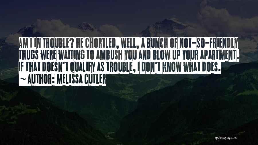 Melissa Cutler Quotes: Am I In Trouble? He Chortled, Well, A Bunch Of Not-so-friendly Thugs Were Waiting To Ambush You And Blow Up