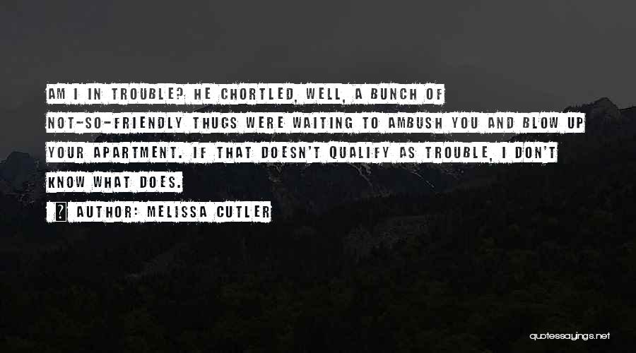 Melissa Cutler Quotes: Am I In Trouble? He Chortled, Well, A Bunch Of Not-so-friendly Thugs Were Waiting To Ambush You And Blow Up