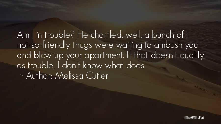 Melissa Cutler Quotes: Am I In Trouble? He Chortled, Well, A Bunch Of Not-so-friendly Thugs Were Waiting To Ambush You And Blow Up