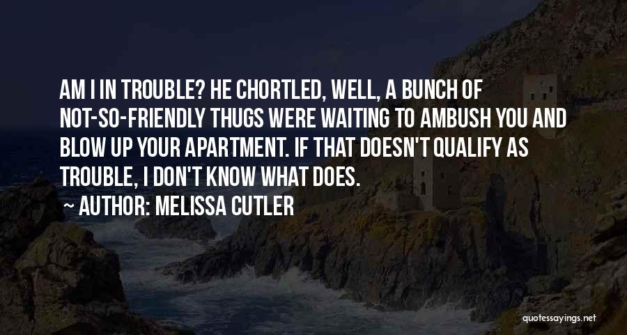 Melissa Cutler Quotes: Am I In Trouble? He Chortled, Well, A Bunch Of Not-so-friendly Thugs Were Waiting To Ambush You And Blow Up