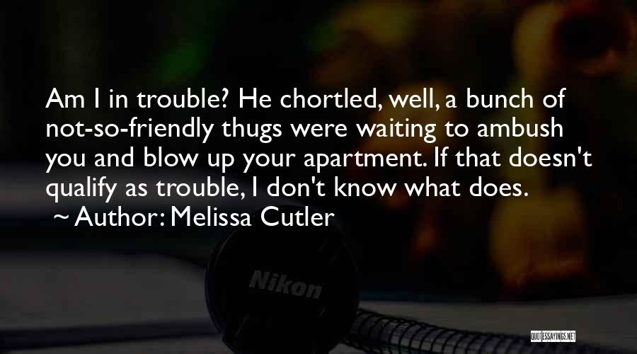 Melissa Cutler Quotes: Am I In Trouble? He Chortled, Well, A Bunch Of Not-so-friendly Thugs Were Waiting To Ambush You And Blow Up