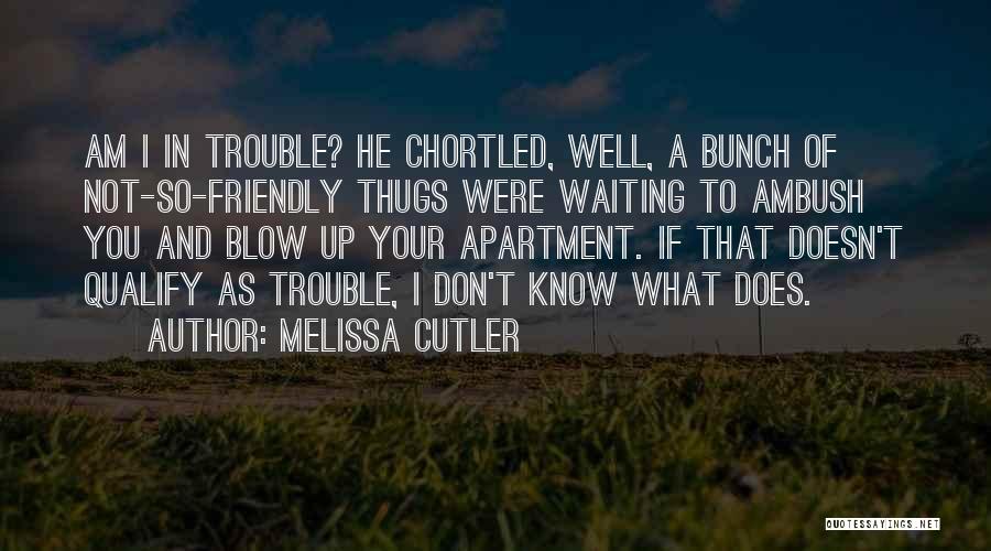 Melissa Cutler Quotes: Am I In Trouble? He Chortled, Well, A Bunch Of Not-so-friendly Thugs Were Waiting To Ambush You And Blow Up