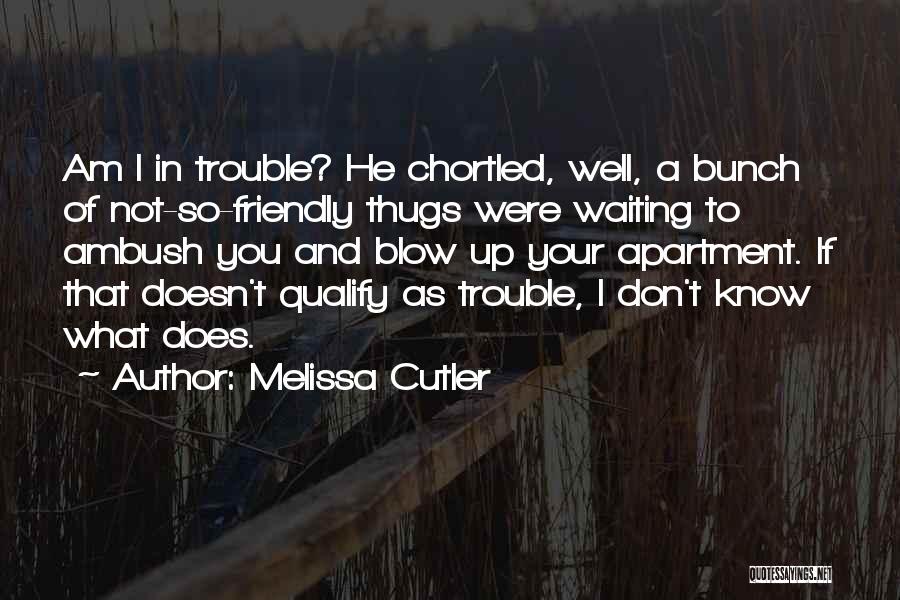 Melissa Cutler Quotes: Am I In Trouble? He Chortled, Well, A Bunch Of Not-so-friendly Thugs Were Waiting To Ambush You And Blow Up