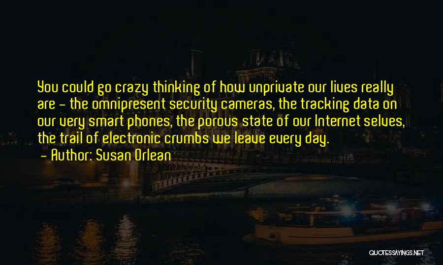Susan Orlean Quotes: You Could Go Crazy Thinking Of How Unprivate Our Lives Really Are - The Omnipresent Security Cameras, The Tracking Data