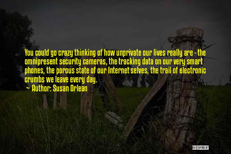 Susan Orlean Quotes: You Could Go Crazy Thinking Of How Unprivate Our Lives Really Are - The Omnipresent Security Cameras, The Tracking Data