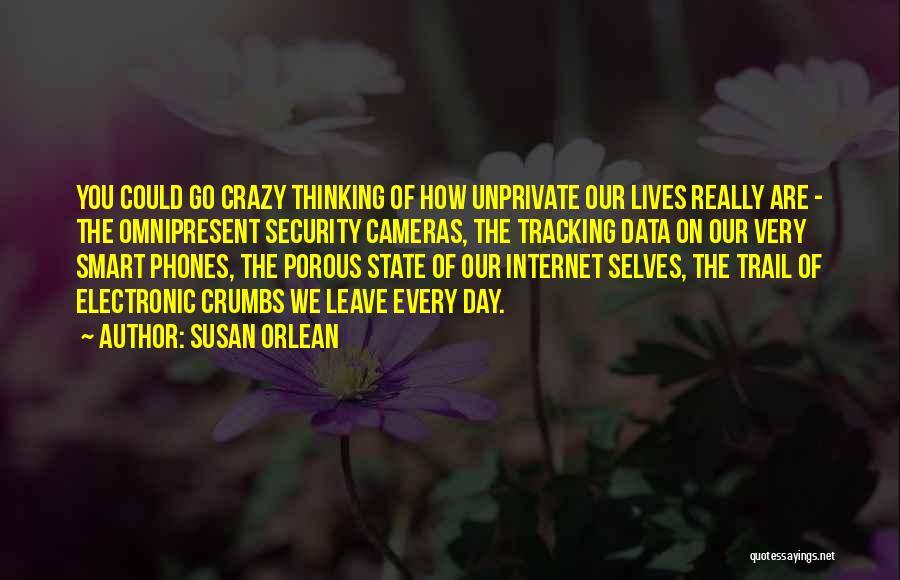 Susan Orlean Quotes: You Could Go Crazy Thinking Of How Unprivate Our Lives Really Are - The Omnipresent Security Cameras, The Tracking Data