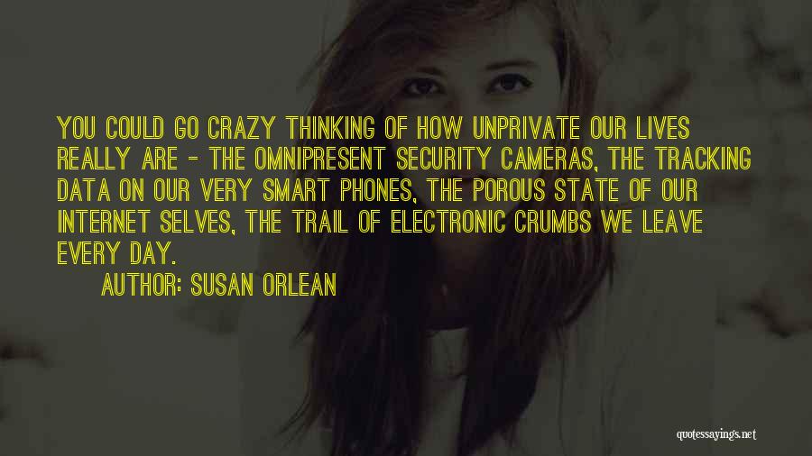 Susan Orlean Quotes: You Could Go Crazy Thinking Of How Unprivate Our Lives Really Are - The Omnipresent Security Cameras, The Tracking Data