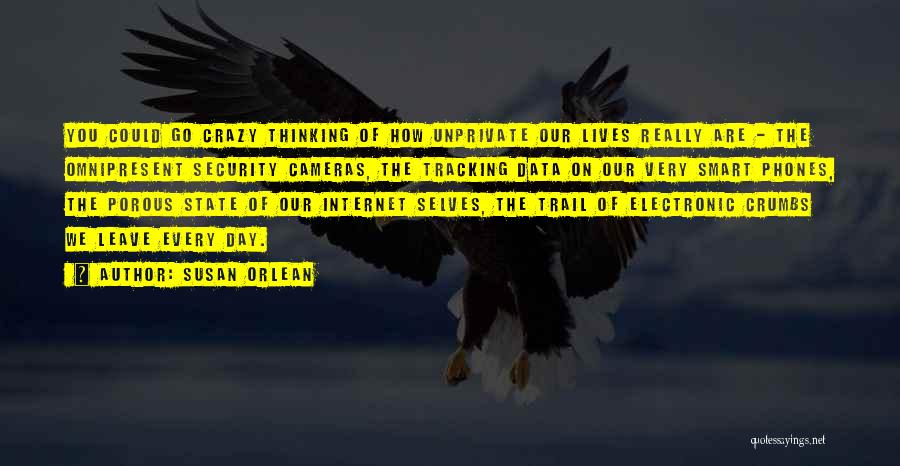 Susan Orlean Quotes: You Could Go Crazy Thinking Of How Unprivate Our Lives Really Are - The Omnipresent Security Cameras, The Tracking Data