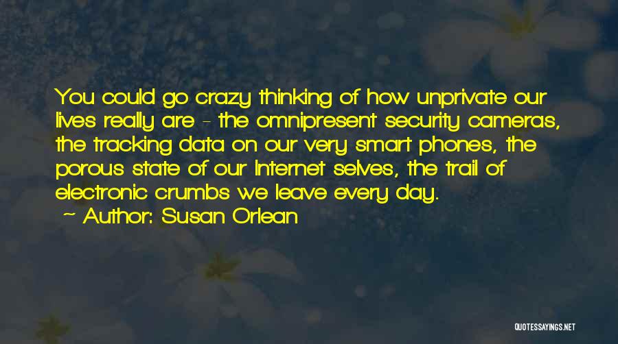 Susan Orlean Quotes: You Could Go Crazy Thinking Of How Unprivate Our Lives Really Are - The Omnipresent Security Cameras, The Tracking Data