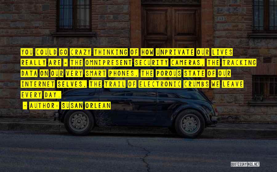 Susan Orlean Quotes: You Could Go Crazy Thinking Of How Unprivate Our Lives Really Are - The Omnipresent Security Cameras, The Tracking Data