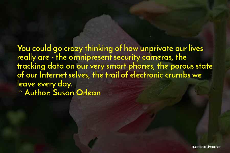 Susan Orlean Quotes: You Could Go Crazy Thinking Of How Unprivate Our Lives Really Are - The Omnipresent Security Cameras, The Tracking Data