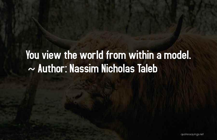 Nassim Nicholas Taleb Quotes: You View The World From Within A Model.
