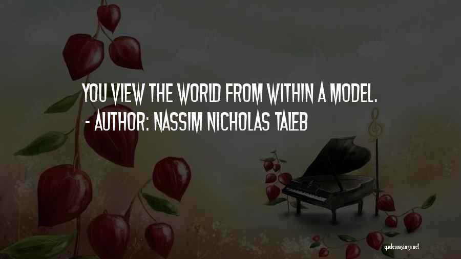 Nassim Nicholas Taleb Quotes: You View The World From Within A Model.