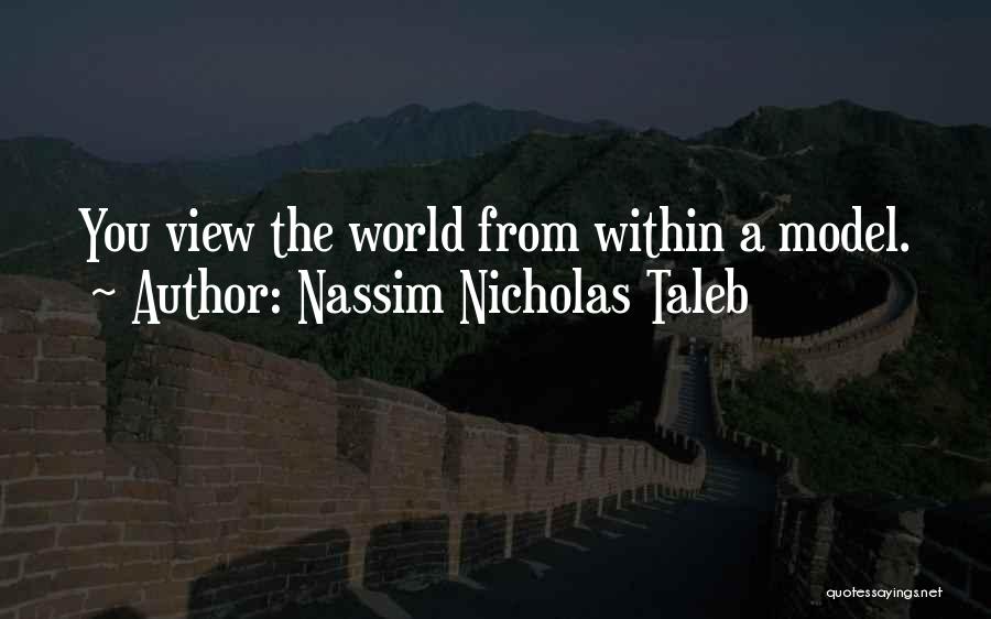 Nassim Nicholas Taleb Quotes: You View The World From Within A Model.
