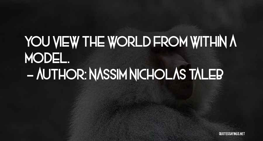 Nassim Nicholas Taleb Quotes: You View The World From Within A Model.