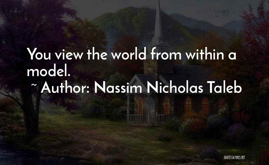 Nassim Nicholas Taleb Quotes: You View The World From Within A Model.