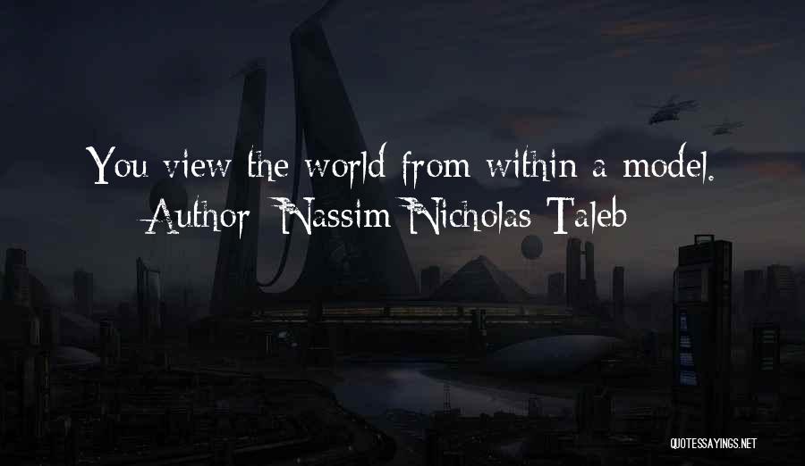Nassim Nicholas Taleb Quotes: You View The World From Within A Model.