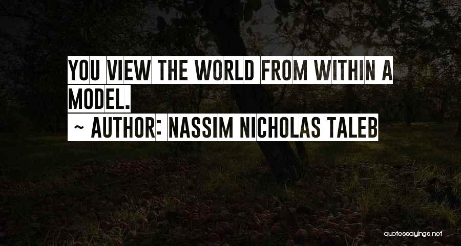 Nassim Nicholas Taleb Quotes: You View The World From Within A Model.
