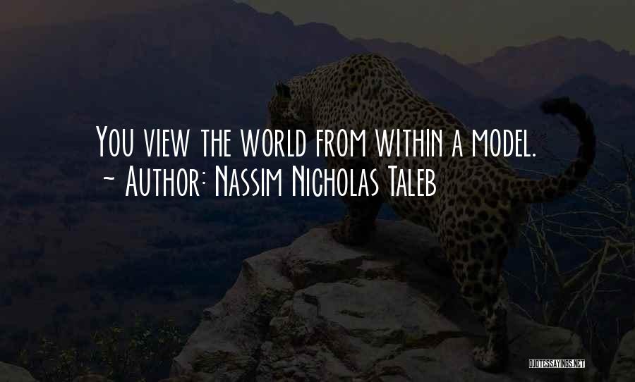 Nassim Nicholas Taleb Quotes: You View The World From Within A Model.
