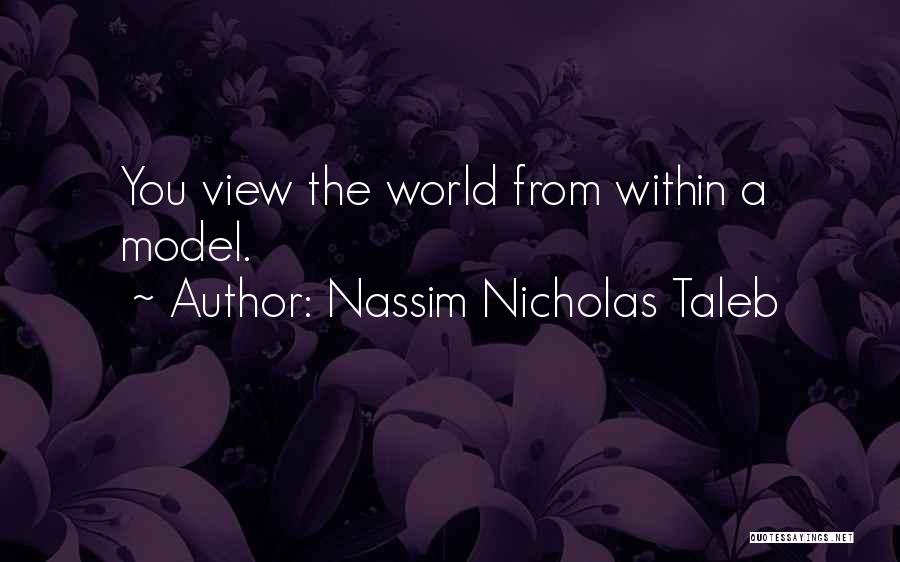 Nassim Nicholas Taleb Quotes: You View The World From Within A Model.