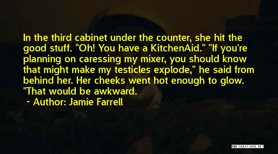 Jamie Farrell Quotes: In The Third Cabinet Under The Counter, She Hit The Good Stuff. Oh! You Have A Kitchenaid. If You're Planning