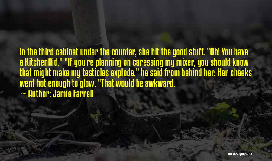 Jamie Farrell Quotes: In The Third Cabinet Under The Counter, She Hit The Good Stuff. Oh! You Have A Kitchenaid. If You're Planning