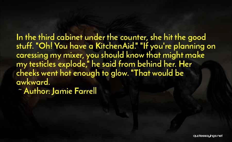 Jamie Farrell Quotes: In The Third Cabinet Under The Counter, She Hit The Good Stuff. Oh! You Have A Kitchenaid. If You're Planning