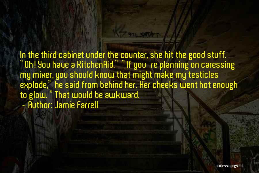 Jamie Farrell Quotes: In The Third Cabinet Under The Counter, She Hit The Good Stuff. Oh! You Have A Kitchenaid. If You're Planning