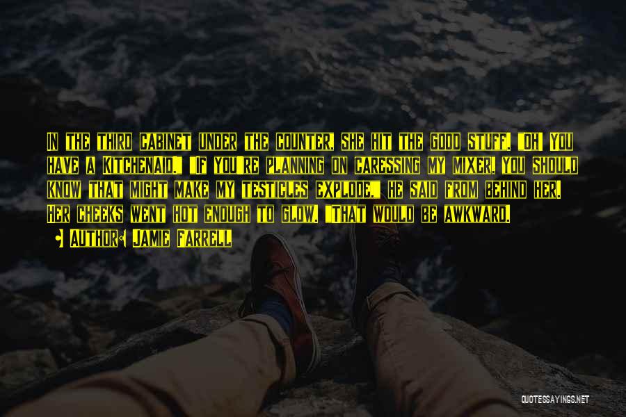 Jamie Farrell Quotes: In The Third Cabinet Under The Counter, She Hit The Good Stuff. Oh! You Have A Kitchenaid. If You're Planning