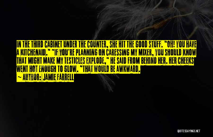 Jamie Farrell Quotes: In The Third Cabinet Under The Counter, She Hit The Good Stuff. Oh! You Have A Kitchenaid. If You're Planning