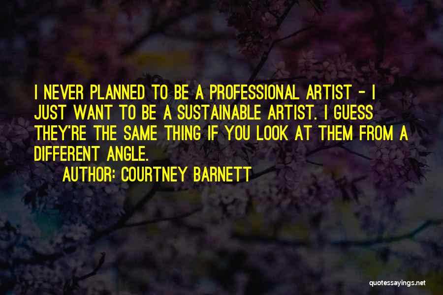 Courtney Barnett Quotes: I Never Planned To Be A Professional Artist - I Just Want To Be A Sustainable Artist. I Guess They're