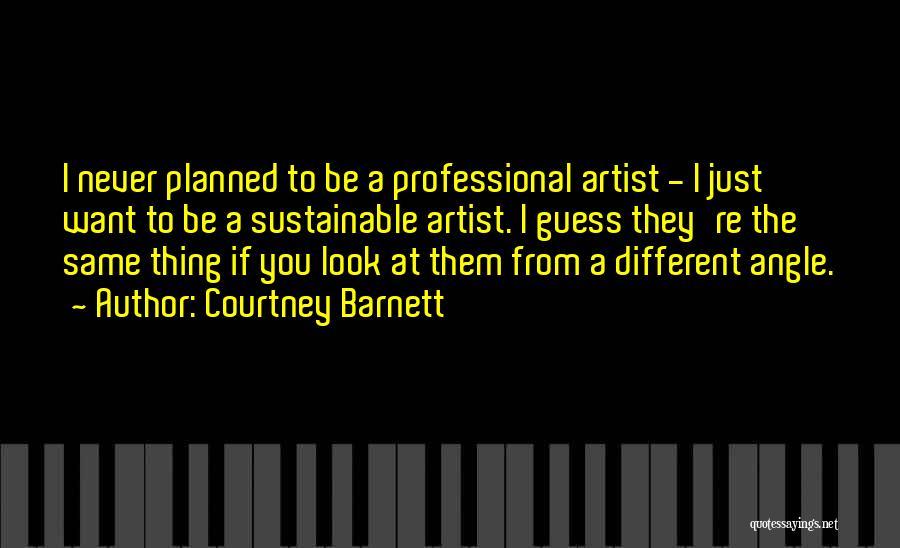 Courtney Barnett Quotes: I Never Planned To Be A Professional Artist - I Just Want To Be A Sustainable Artist. I Guess They're